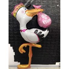 Аист на выписку из роддома